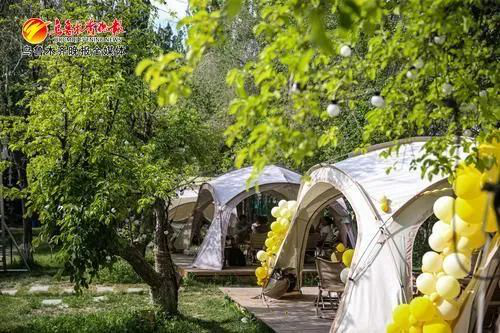 营+” 打造文旅新场景 激发消费新活力麻将胡了2模拟器试玩文化中国行丨“露