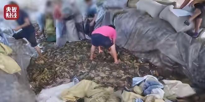 到地方省部门介入一人干翻一个行业麻将胡了酸菜池乱吐后续:半夜找(图2) 到地方省部门介入一人干翻一个行业麻将胡了酸菜池乱吐后续:半夜找(图2)