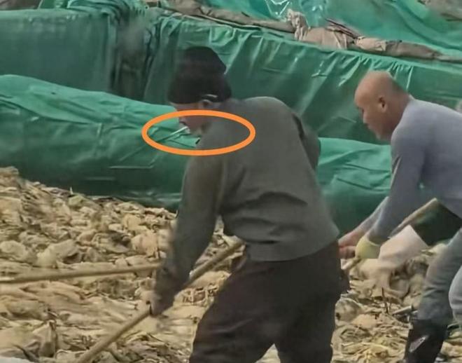 到地方省部门介入一人干翻一个行业麻将胡了酸菜池乱吐后续:半夜找(图6) 到地方省部门介入一人干翻一个行业麻将胡了酸菜池乱吐后续:半夜找(图6)